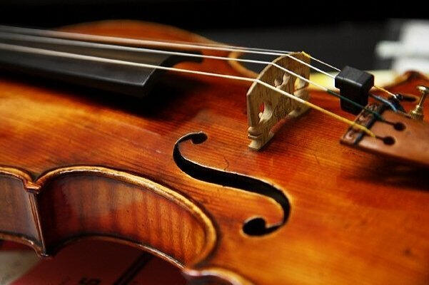 violon